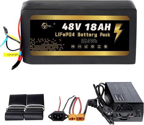 48V 52V 20AH 25Ah LiFePO4 Lithium B-attery Pack with 40A BMS for 0-1000W Motor(48V 20AH,0-1000W) in Saudi Arabia