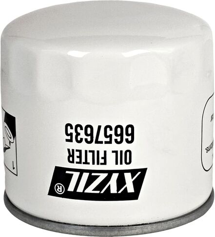 XYZIL فلتر زيت المحرك 6657635 متوافق مع Bobcat S70 S100 313 443 453 463 543 553 T110 E55 E60 E80 E62 E63 220 320 425 428 E25 E26 E27 E27Z L28 L23 CT1021 CT1025 CT120 B100 B200 B250 6KW BAP185 in Kuwait