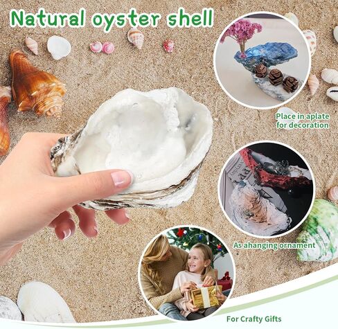 30PCS Oyster Shells for Crafts,Lncluding 25PCS Concave & 5PCS Flat,3"-4" Natural Medium Oyster Shells Bulk,for Home Vase Filler, Xmas Ornaments, DIY Arts and Crafts Sea Shells,Gift 50 Stickers in Saudi Arabia