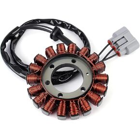 12318396695 Motorcycle Magneto Stator Coil for S1000RR K67 2018-2020 S1000XR K69 2018-2019 12318404476 in Saudi Arabia
