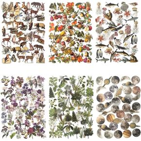 Maxleaf 240PCS Waterproof Flowers Leaves Animals Plants Nature Stickers for Art Journaling Planners Scrapbook DIY Crafts Decoration, 6 Series Nature Theme Stickers Set in Kuwait