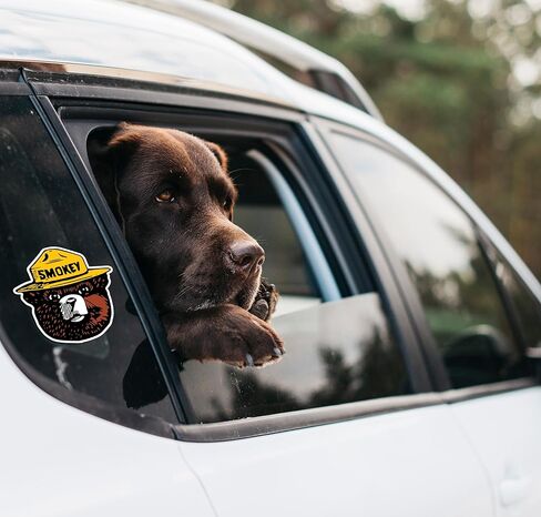 WSQ 2-Pack Smokey Firefighting Awareness Vinyl Sticker Decal - 4.74x4.85 Inches - for Car Truck SUV Van Window Bumper Wall Laptop Tablet Cup Tumbler and Any Smooth Surface in Kuwait