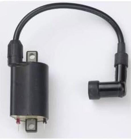 وحدة الإشعال COll تناسب Kohler 2451902 2451902-s,ZF-IG-A00079 in Kuwait