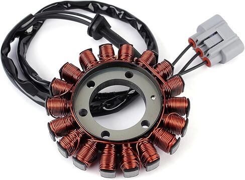 12318396695 Motorcycle Magneto Stator Coil for S1000RR K67 2018-2020 S1000XR K69 2018-2019 12318404476 in Saudi Arabia