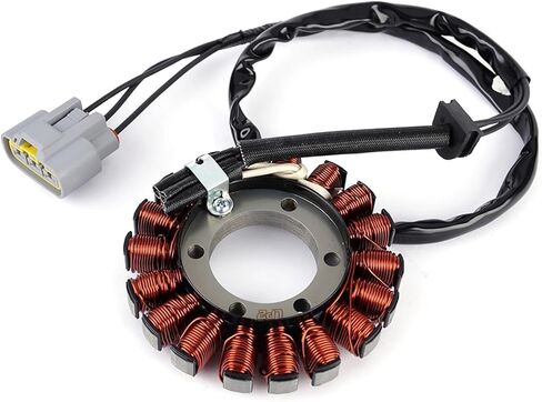 12318396695 Motorcycle Magneto Stator Coil for S1000RR K67 2018-2020 S1000XR K69 2018-2019 12318404476 in Saudi Arabia