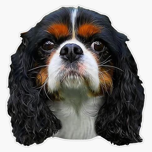 Cavalier King Charles Spaniel Cute Puppy Face Sticker Bumper Sticker Vinyl Decal 5 in Kuwait