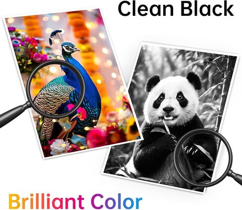 67XL Ink Cartridges Black/Color Combo Pack Compatible for HP Ink 67 XL 67XL HP67 XL HP67XL Work with HP DeskJet 2855e 2800e 2852e 2827e Printer Ink (1 Black, 1 Color) in Saudi Arabia