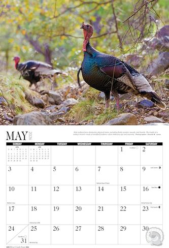 2026 Turkey Wall Calendar 13.5" x 20" (Open) Large in Saudi Arabia