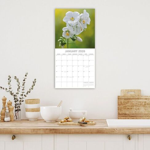 The Gifted Stationery 16-Month Square Wall Calendar - 2026 Calendar with Floral Theme - Easy Hang & 2026 Wall Planner - 16 Months September 2025-December 2026-12 x 12 in, 180 Stickers in Kuwait