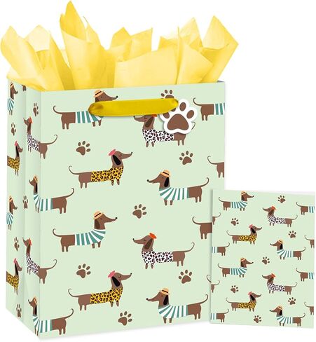 Loveinside Dachshund Gift Bag for Boys Girls, Cut Sausage Dog Dressed-Up Design with Paw Prints, Green Medium Gift Bag with Tissue Paper, Tag, Card for Birthday, Pet Party, 10" x 5" x 13", 1 Pcs in Kuwait