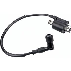 Ignition Coil with Spark Plug Wire for CG125 125cc 150cc 200cc 250cc ATV Pit Bike Dirt Bike Scooter Go Kart, High Output Ignition Coil Replacement Compatible with Taotao Coolster Roketa Sunl SSR in Saudi Arabia