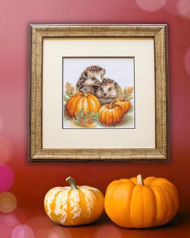 Aine - Hedgehogs in the Harvest A1021, Autumn Cross Stitch Kits 7¾"x7¾, Fall Cross Stitch Kits for Beginners & Advanced, Animals Crossstitching Kit Adult, Halloween Embroidery Counted Stitching Kit in Saudi Arabia