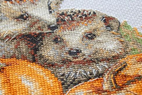 Aine - Hedgehogs in the Harvest A1021, Autumn Cross Stitch Kits 7¾"x7¾, Fall Cross Stitch Kits for Beginners & Advanced, Animals Crossstitching Kit Adult, Halloween Embroidery Counted Stitching Kit in Saudi Arabia