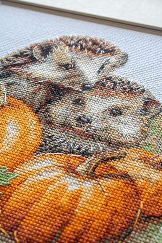 Aine - Hedgehogs in the Harvest A1021, Autumn Cross Stitch Kits 7¾"x7¾, Fall Cross Stitch Kits for Beginners & Advanced, Animals Crossstitching Kit Adult, Halloween Embroidery Counted Stitching Kit in Saudi Arabia