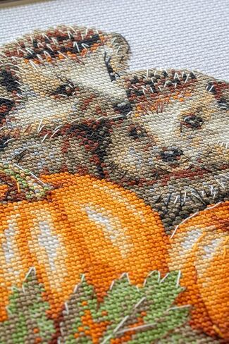 Aine - Hedgehogs in the Harvest A1021, Autumn Cross Stitch Kits 7¾"x7¾, Fall Cross Stitch Kits for Beginners & Advanced, Animals Crossstitching Kit Adult, Halloween Embroidery Counted Stitching Kit in Saudi Arabia
