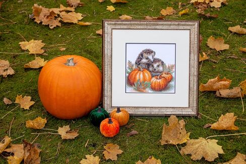 Aine - Hedgehogs in the Harvest A1021, Autumn Cross Stitch Kits 7¾"x7¾, Fall Cross Stitch Kits for Beginners & Advanced, Animals Crossstitching Kit Adult, Halloween Embroidery Counted Stitching Kit in Saudi Arabia