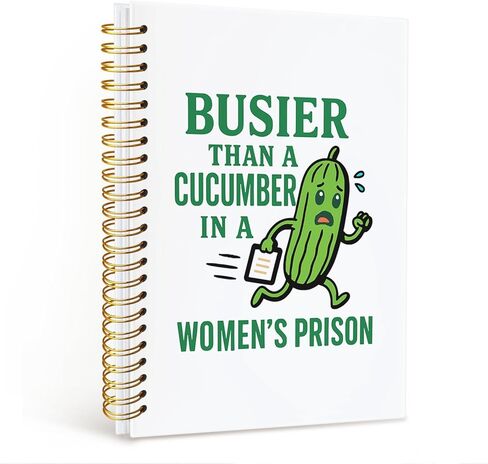 Funny Notebooks for Work, Funny Work Gifts for Coworkers & Boss, Coworker Office Gifts for Men Women, Funny Office Supplies, Fun Spiral Notebooks Journals for Writing 5.5x8.3 Inch in Saudi Arabia