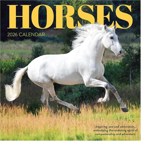 TF Publishing 2026 Horses Wall Calendar - Large Grids for Appointments and Scheduling - Vertical Monthly Wall Calendar 2026 with Premium Gloss Paper for Home and Office Organization - 12in x 12in in Kuwait