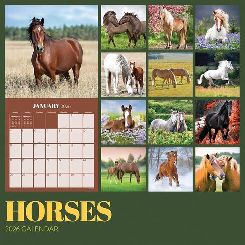 TF Publishing 2026 Horses Wall Calendar - Large Grids for Appointments and Scheduling - Vertical Monthly Wall Calendar 2026 with Premium Gloss Paper for Home and Office Organization - 12in x 12in in Kuwait