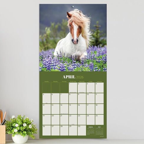TF Publishing 2026 Horses Wall Calendar - Large Grids for Appointments and Scheduling - Vertical Monthly Wall Calendar 2026 with Premium Gloss Paper for Home and Office Organization - 12in x 12in in Kuwait