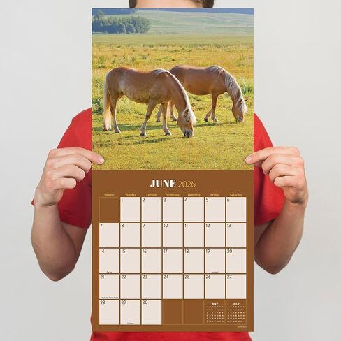 TF Publishing 2026 Horses Wall Calendar - Large Grids for Appointments and Scheduling - Vertical Monthly Wall Calendar 2026 with Premium Gloss Paper for Home and Office Organization - 12in x 12in in Kuwait