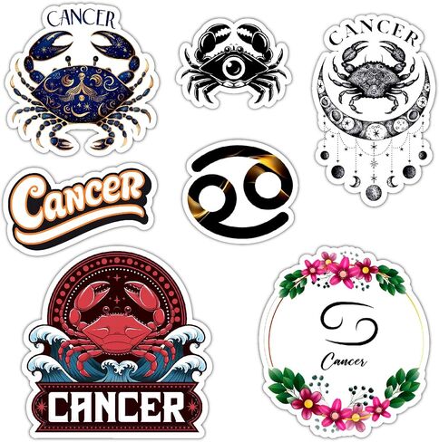 Gemini Zodiac Stickers Astrology Vinyl Decals for Water Bottle Laptop, Waterproof Zodiac Sign Stickers 6 Inch in Kuwait