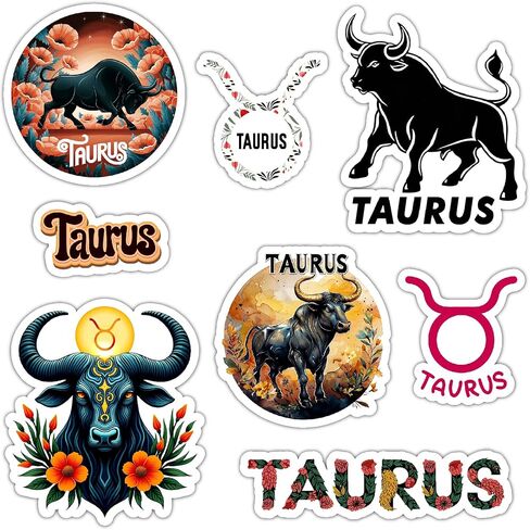 Gemini Zodiac Stickers Astrology Vinyl Decals for Water Bottle Laptop, Waterproof Zodiac Sign Stickers 6 Inch in Kuwait