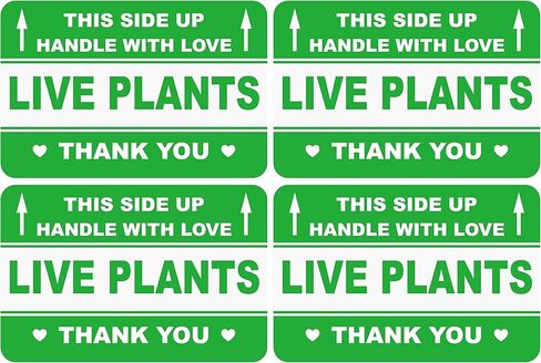 Live Plant Sticker,2x3 200pcs This Side up Handle with Love Live Plant Shipping Sticker in Kuwait