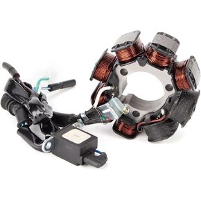 Ignition Stator Magneto Coil for TRX250 250 X 1987-1988 1991-1992 31120-HC0-014 in Saudi Arabia