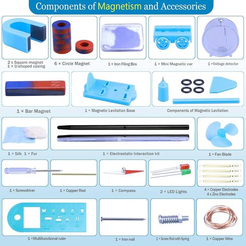 Physics Labs Basic Electricity & Magnetism Experiment Kit, STEM Electromagnetism & Elementary Electronics Learning Starter Set for High School Students Physics Science Lab Supplies in Saudi Arabia