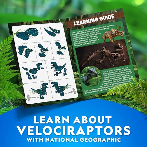 National Geographic Buildable Velociraptor Dinosaur Toys for 3 4 5 6 7 Year Old Boys & Girls, Take Apart Dinosaur Construction Building Toy, STEM Learning Toy Birthday for Kids Ages 4–8 in Kuwait