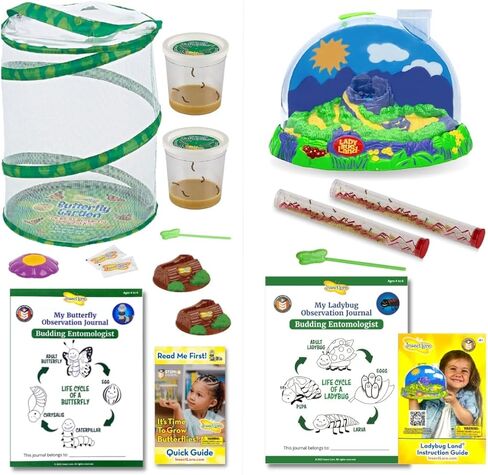 Insect Lore Life Cycle Lessons Bundle | Butterfly Kit with 2 Cups Live Caterpillars | Ladybug Land with 2 Tubes Live Ladybug Larvae | Reusable Habitats, 2 STEM Journals & More in Kuwait