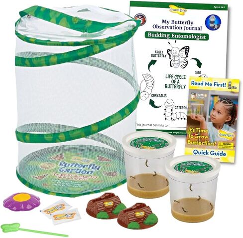 Insect Lore Life Cycle Lessons Bundle | Butterfly Kit with 2 Cups Live Caterpillars | Ladybug Land with 2 Tubes Live Ladybug Larvae | Reusable Habitats, 2 STEM Journals & More in Kuwait