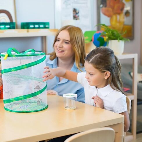 Insect Lore Life Cycle Lessons Bundle | Butterfly Kit with 2 Cups Live Caterpillars | Ladybug Land with 2 Tubes Live Ladybug Larvae | Reusable Habitats, 2 STEM Journals & More in Kuwait