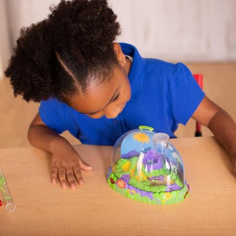 Insect Lore Life Cycle Lessons Bundle | Butterfly Kit with 2 Cups Live Caterpillars | Ladybug Land with 2 Tubes Live Ladybug Larvae | Reusable Habitats, 2 STEM Journals & More in Kuwait