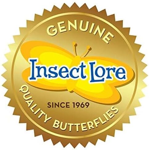 Insect Lore Life Cycle Lessons Bundle | Butterfly Kit with 2 Cups Live Caterpillars | Ladybug Land with 2 Tubes Live Ladybug Larvae | Reusable Habitats, 2 STEM Journals & More in Kuwait