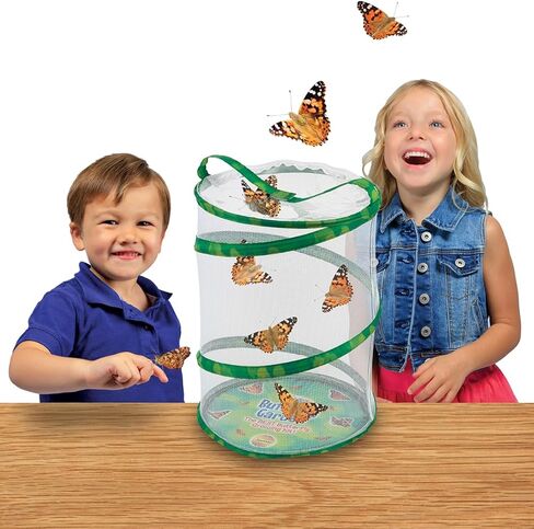 Insect Lore Life Cycle Lessons Bundle | Butterfly Kit with 2 Cups Live Caterpillars | Ladybug Land with 2 Tubes Live Ladybug Larvae | Reusable Habitats, 2 STEM Journals & More in Kuwait