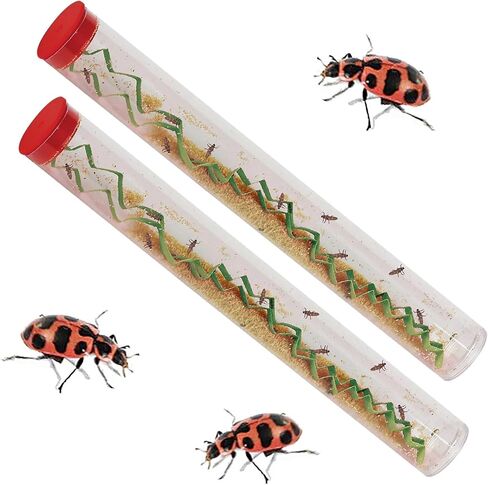 Insect Lore Life Cycle Lessons Bundle | Butterfly Kit with 2 Cups Live Caterpillars | Ladybug Land with 2 Tubes Live Ladybug Larvae | Reusable Habitats, 2 STEM Journals & More in Kuwait