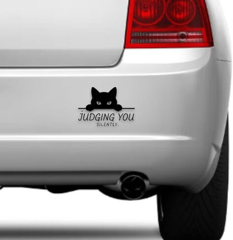 (2PCS) Judging You Silently Car Decal 5 Inch No Background, Unique Humorour Vinyl Decal, Cat Car Stickers and Decals for Back Window, Sarcastic Bumper Stickers in Saudi Arabia