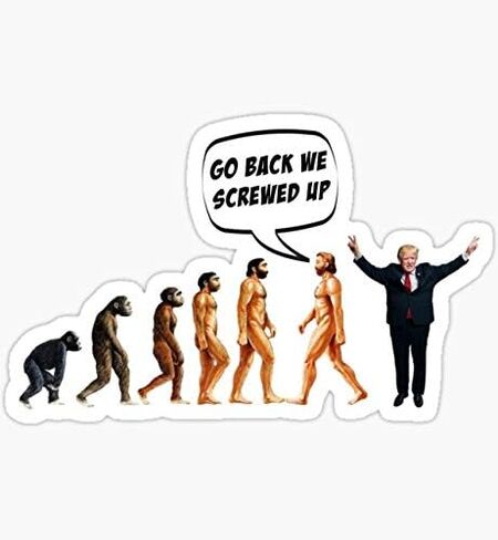 Funny Anti Trump Go Back We Screwed Up - Sticker Graphic - Auto, Wall, Laptop, Cell, Truck Sticker for Windows, Cars, Trucks in Saudi Arabia