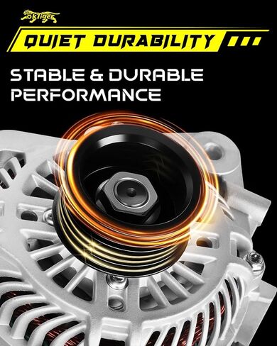 Oktiger 1.8L Alternator Compatible with Honda Civic 2006 2007 2008 2009 2010 2011 Ex Lx Dx Gx Ex-l, 1.8L L4 12V 80A Clockwise 7-Groove Pulley, Replacement Upgraded Alternators, OE 31100-RNA-A01 11176 | Precision CNC castings + die-cast aluminum housing, P in Kuwait