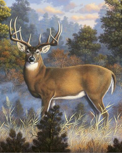 DAVID TEXTILES Large Buck Deer in The First Morning Light 36 X 44 Panel Cotton Fabric in Saudi Arabia