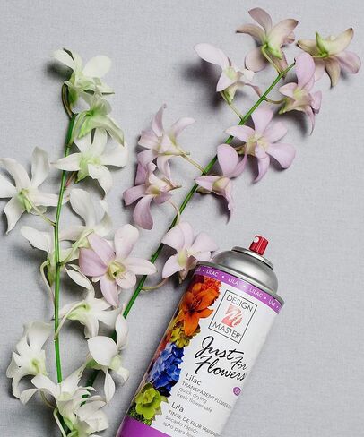 Design Master Just for Flowers Spray Dye, Lilac, 4 Piece in Saudi Arabia