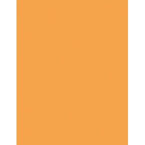 Kaleidoscope Multi-Purpose Paper, 8.5 x 11 Inches, Hyper Orange, 500 Sheets (102218)