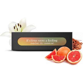 Plug-In Air Fresheners For Bathrooms - Diffusers for Bathrooms and Small Spaces - Electric Scent Diffuser with 3 Natural Fragrances | Stylish Design for Luxurious Bathrooms Aroma in Kuwait