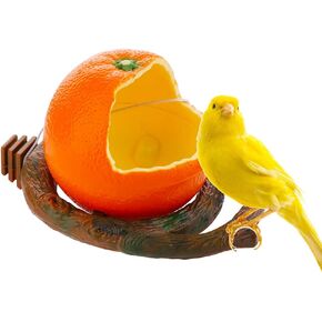 Bird Feeder Fruit Shape with Clamp Holder Cage-Pet Food & Water Bowl Parrot Food Box Cage Decoration (Orange Shape) in Kuwait