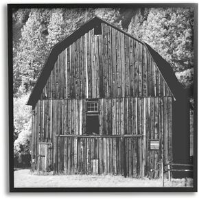 Stupell Industries Rustic Rural Barn Black & White Farm Photography Framed Wall Art, Design By Daphne Polselli