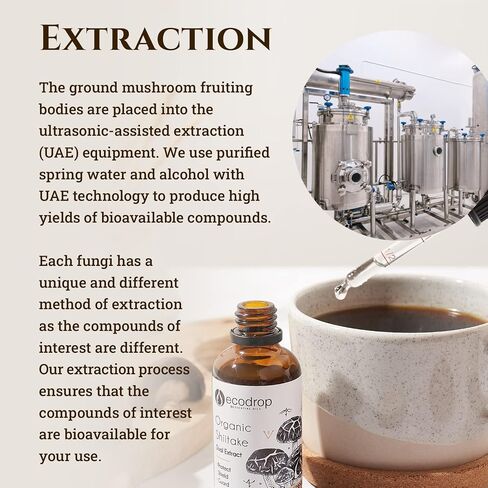 Ecodrop Organic Shiitake Mushroom (Lentinula Edodes) - Double Extract Liquid Tincture, 50ml - EU & Soil Association - Organic Certified - Manufactured in Finland in Saudi Arabia