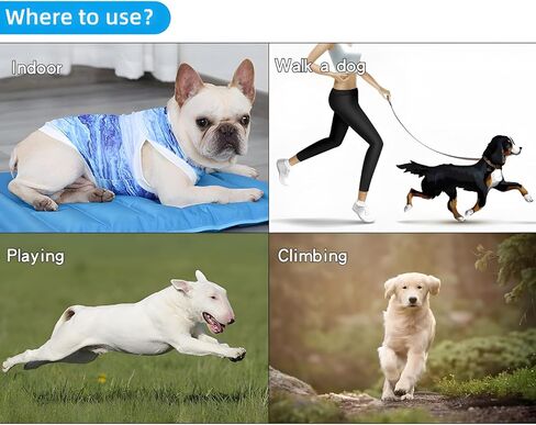 Dog Cool Vest Instant Cooling Bulldog Clothes on Summer for Small to Medium Dogs and Cats (Medium) in Saudi Arabia