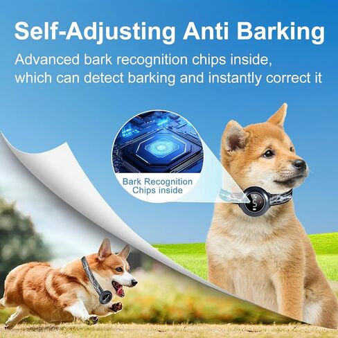 Zivvozivva 2-in-1 Dog Bark Collar & Dog Shock Collar with Remote Control 3300FT, Anti Barking Dog Training Collar IP67 Waterproof 5 Level Sensitivity, E Collar for All Breeds - Black in Saudi Arabia